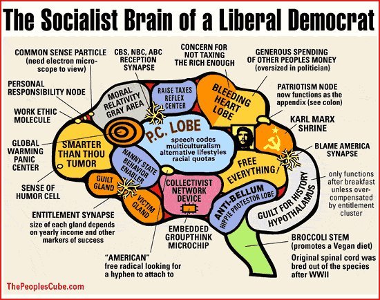 [liberal+brain.jpg]