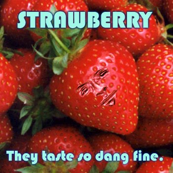 [strawberry+copy.jpg]