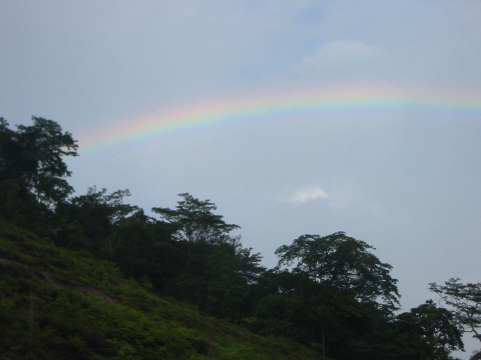 [Rainbow+in+the+sky.JPG]