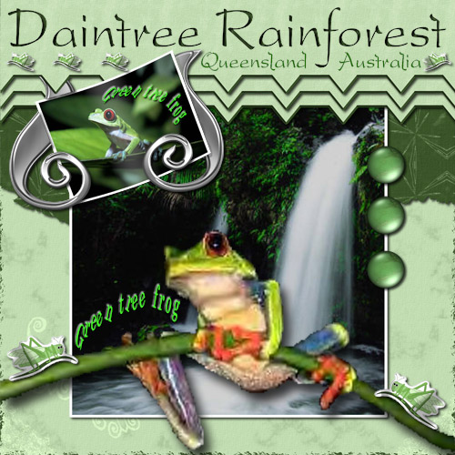 [Daintree-Rainforest-Web.jpg]