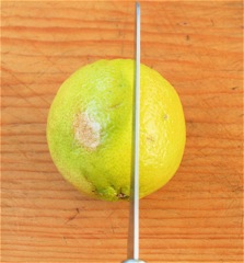 How To Cut a Lemon or A Lime