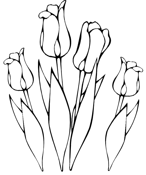[tulips3.gif]
