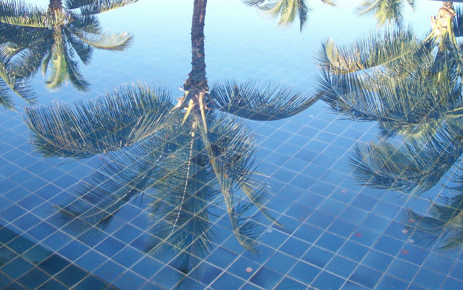 [Maui+January+2007+096.jpg]
