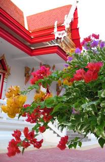 Flowers at Kata Temple