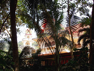 Patong Temple through the trees