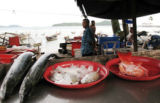 It's as fresh as it gets at Rawai