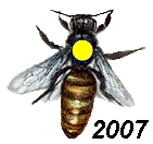yıllara göre ana arı renkleri