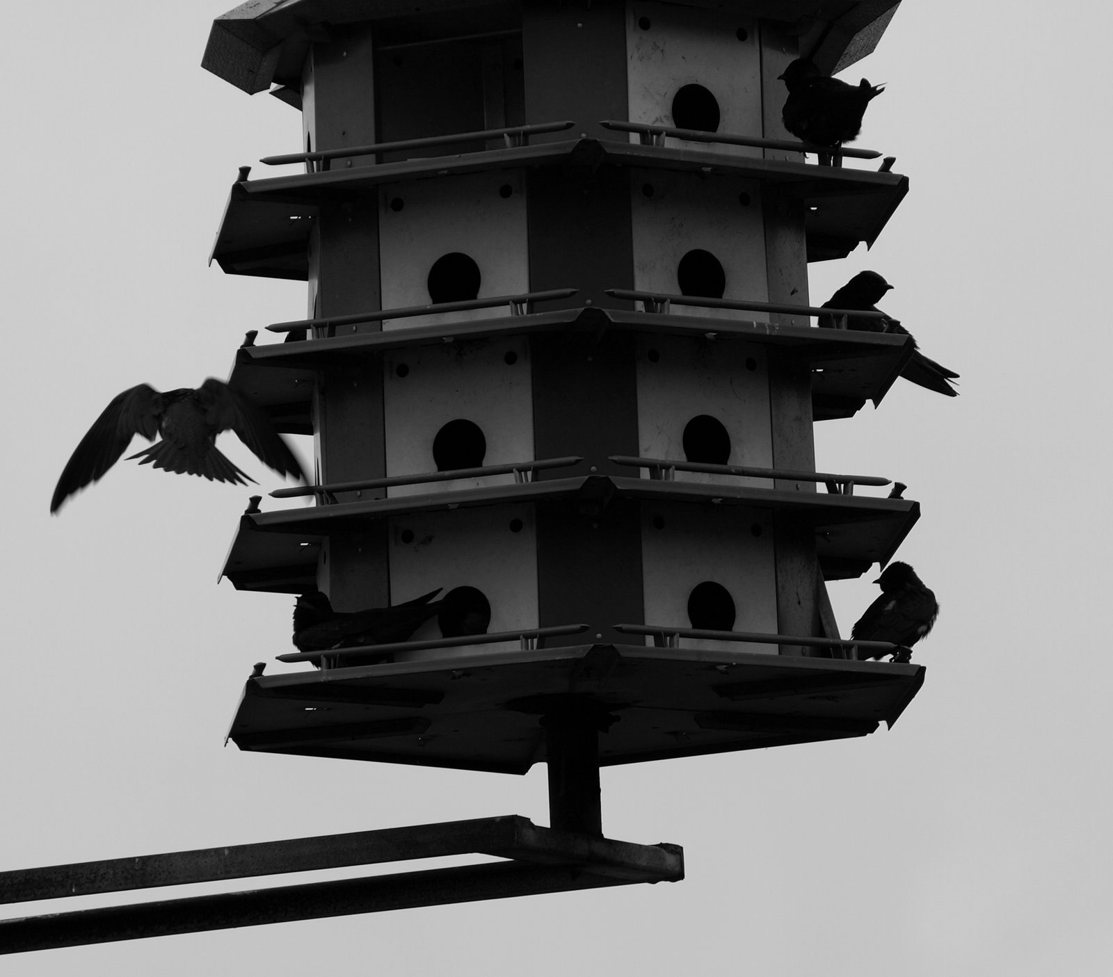 [bird+housing.JPG]