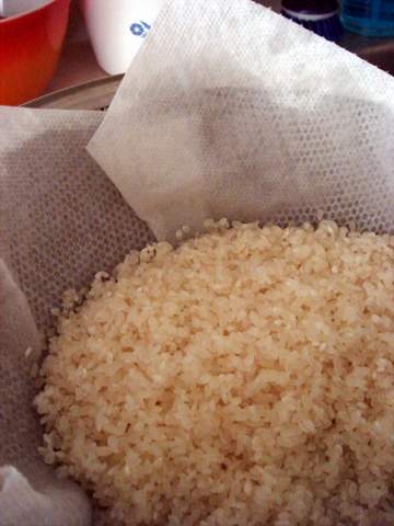 [rice+(1).JPG]