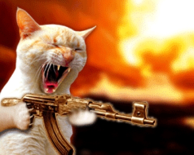 [gato+com+arma.jpg]