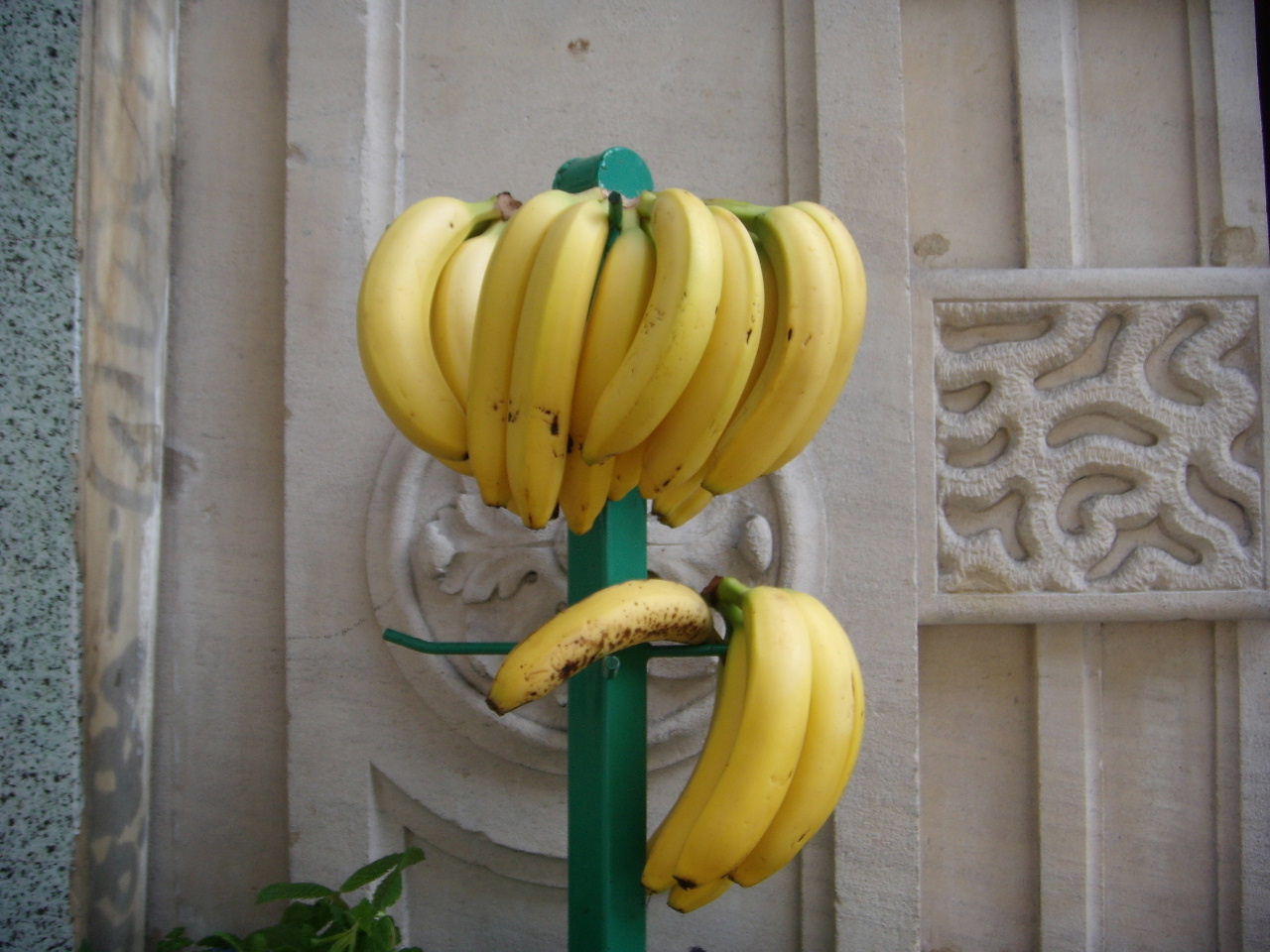 [bananas.JPG]