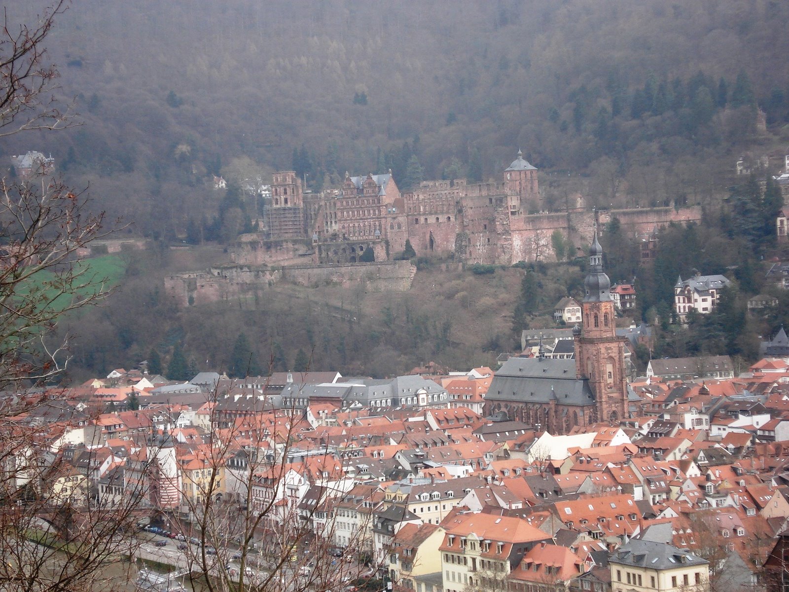 [Heidelberg+II+050.jpg]