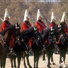 [Horse+Guards+Parade_AW433143.jpg]