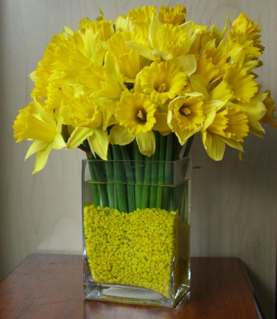 [daffodils_lg.jpg]