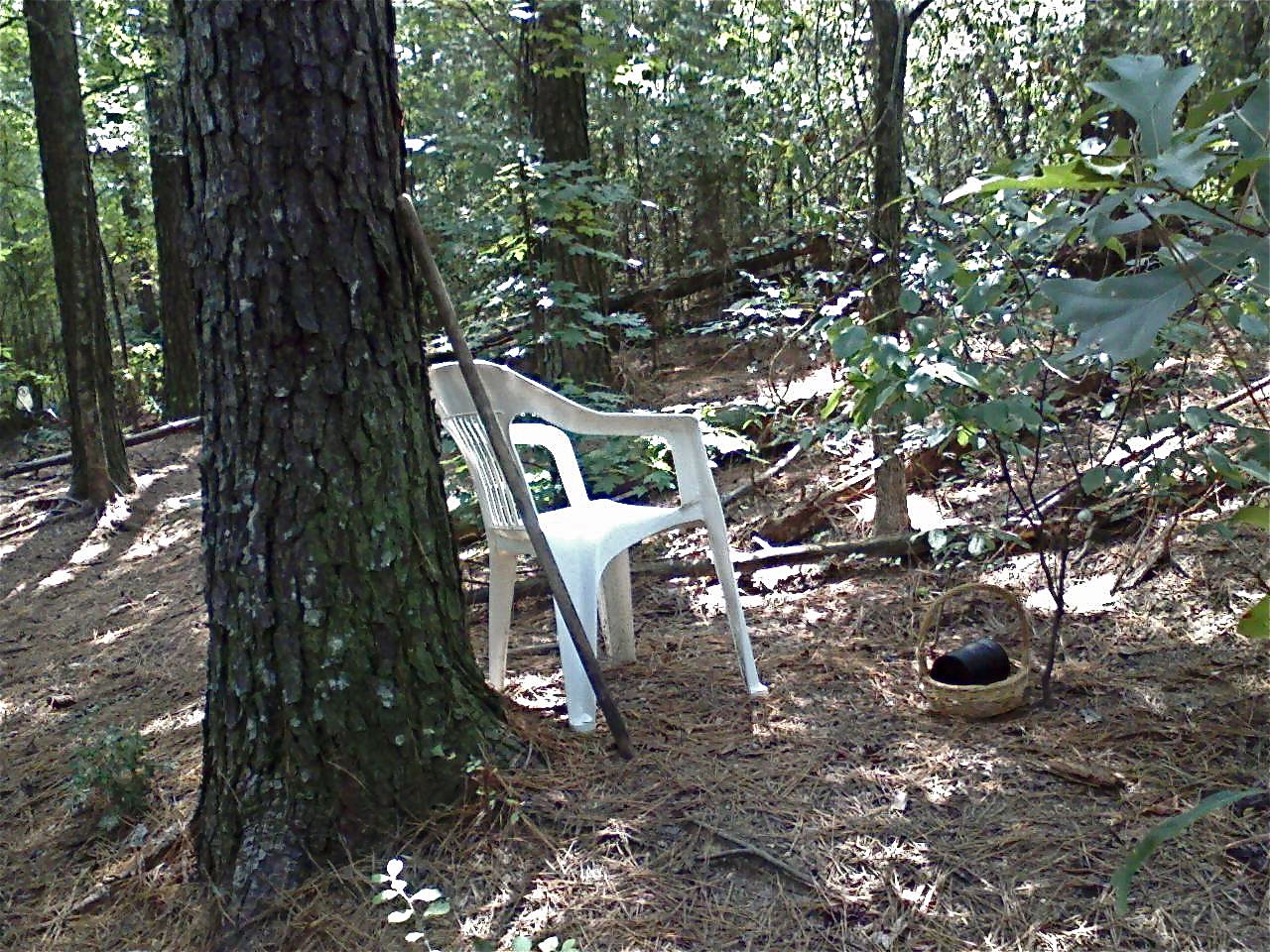 [Forest+Chair.jpg]