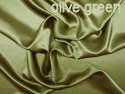 [PV5000-142-Olive+Green.gif]