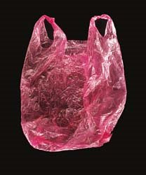 [pink+bag.jpg]