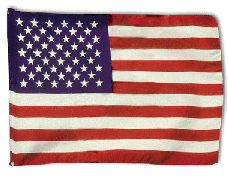 [us-flag.gif]
