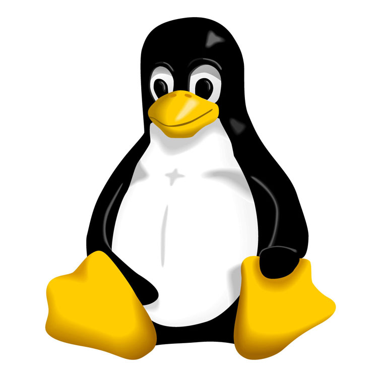 [linux-penguin-full.jpg]