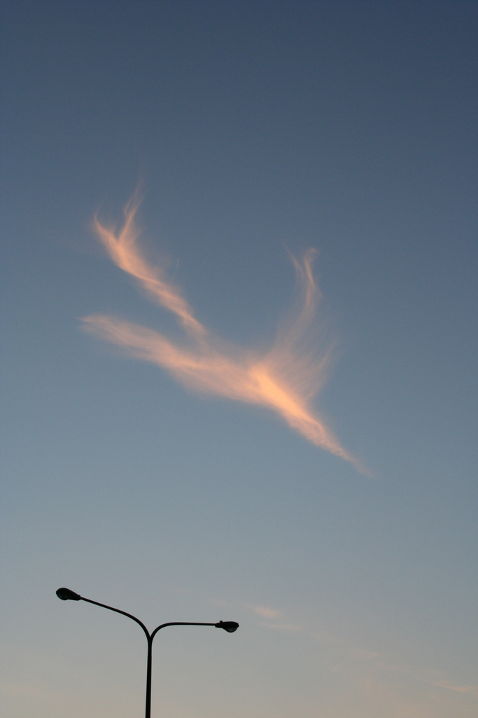 [Clouds-airplane.jpg]