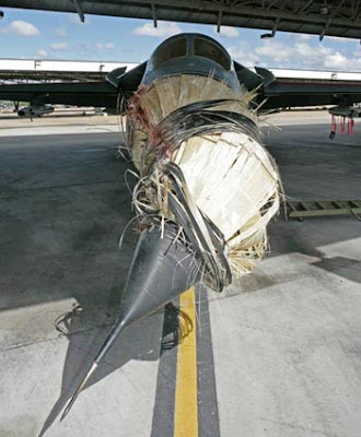 F-111 dañado por pelícano