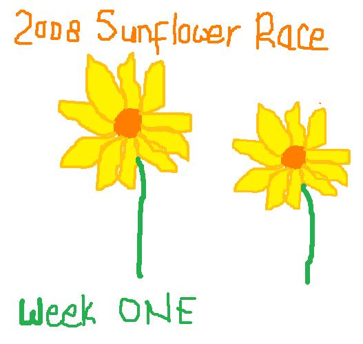 [sunflower+race.jpg]
