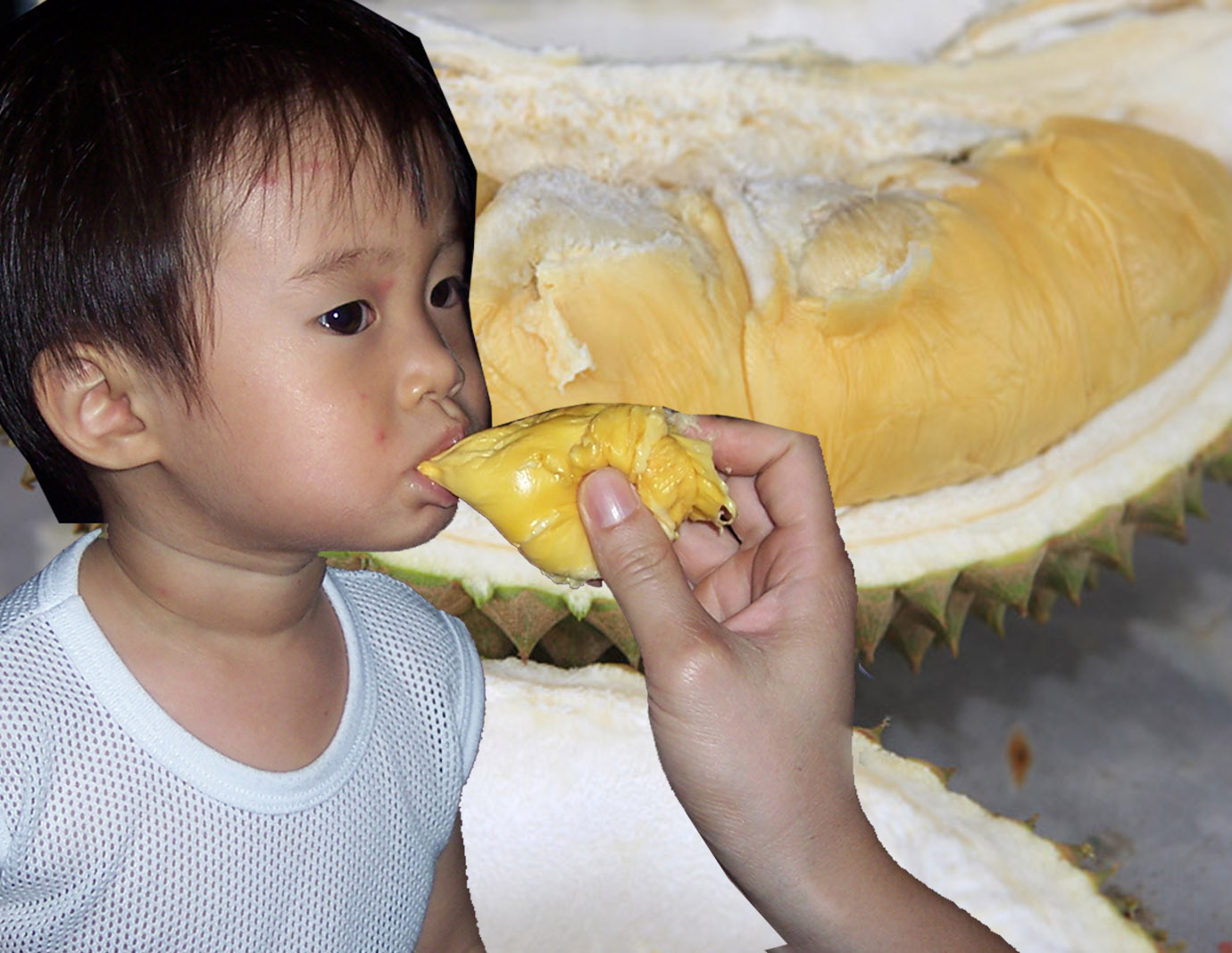 [jeremy+durian.jpg]