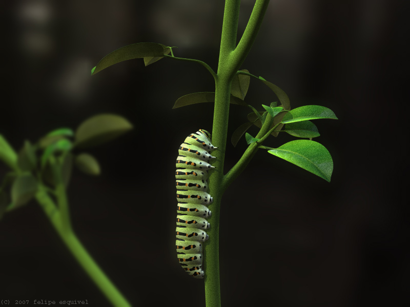 [caterpillar.jpg]