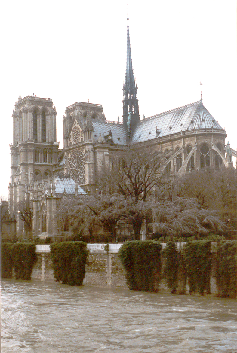 [Copy+of+Notre+Dame,a.jpg]