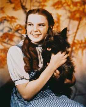 [10102994A~Judy-Garland-The-Wizard-of-Oz-Posters.jpg]