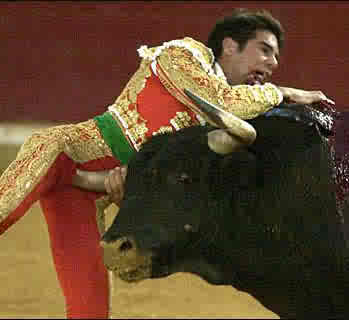 [bullfight.jpg]