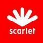 Scarlet appeals against software filter order