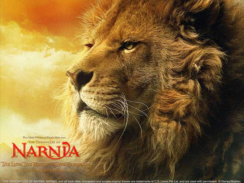 Narnia domain name dispute concludes