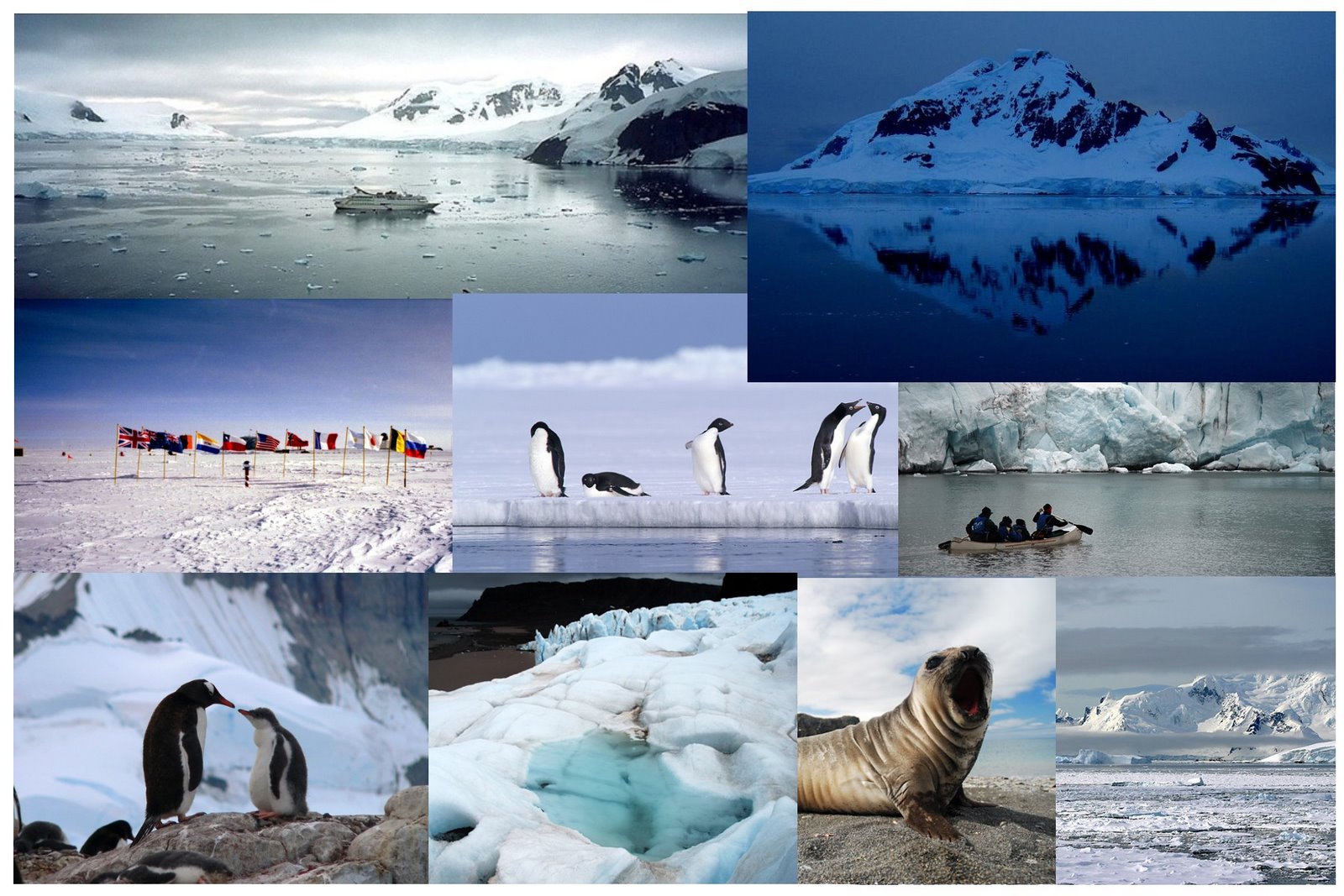 [Antarctica+Collage.jpg]
