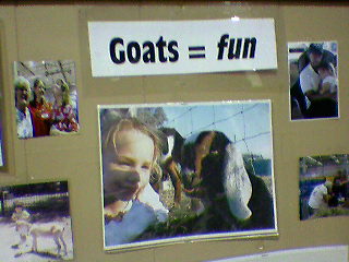 [goats+equal+fun.jpg]