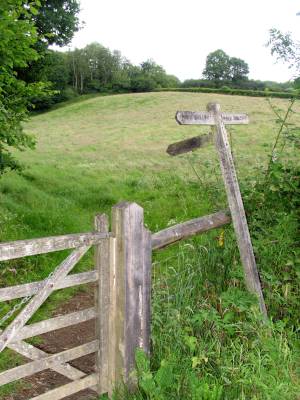 [05.+Signpost+and+Gate_2+sm.jpg]