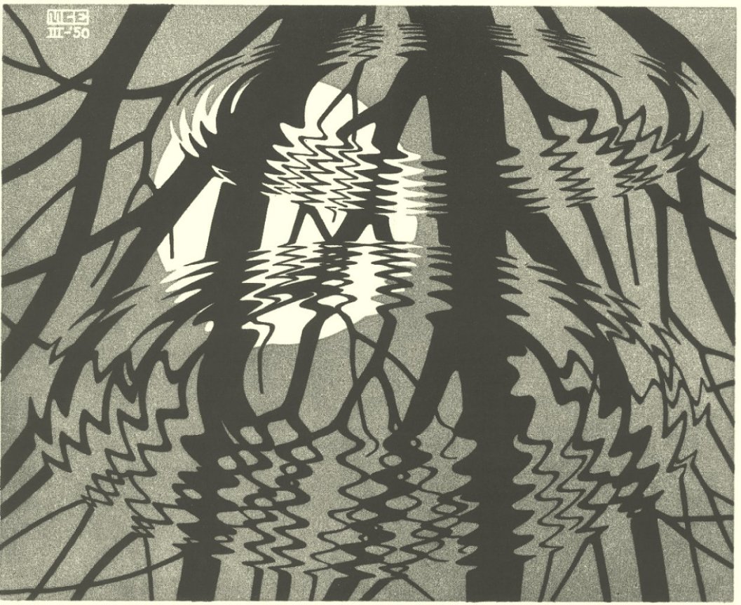 [Escher+Superficie_ondulada.jpg]