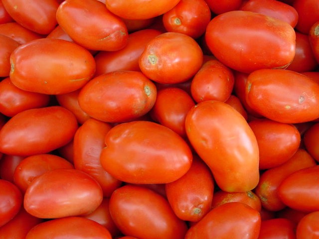 [Tomatines.jpg]