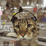 [Kitty+Jamming+in+Record+Shop+with+headphones_funny+animated_07-07.gif]