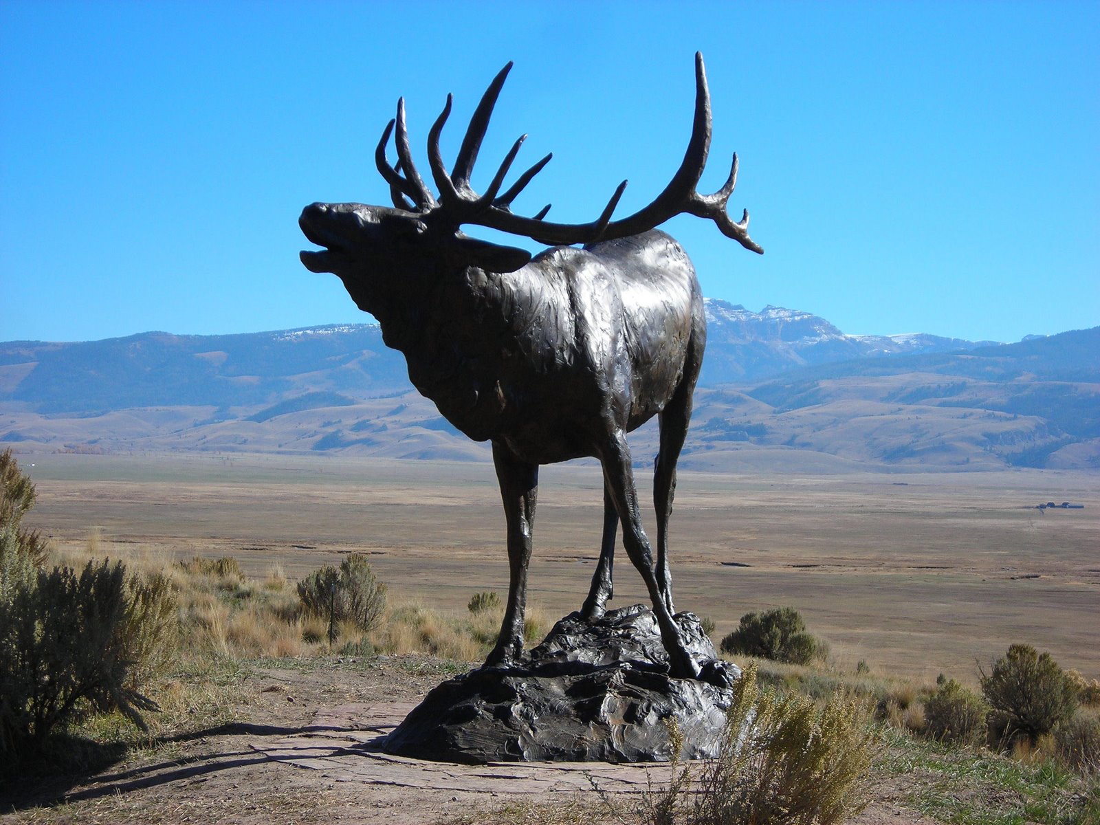 [Elk+statue.jpg]