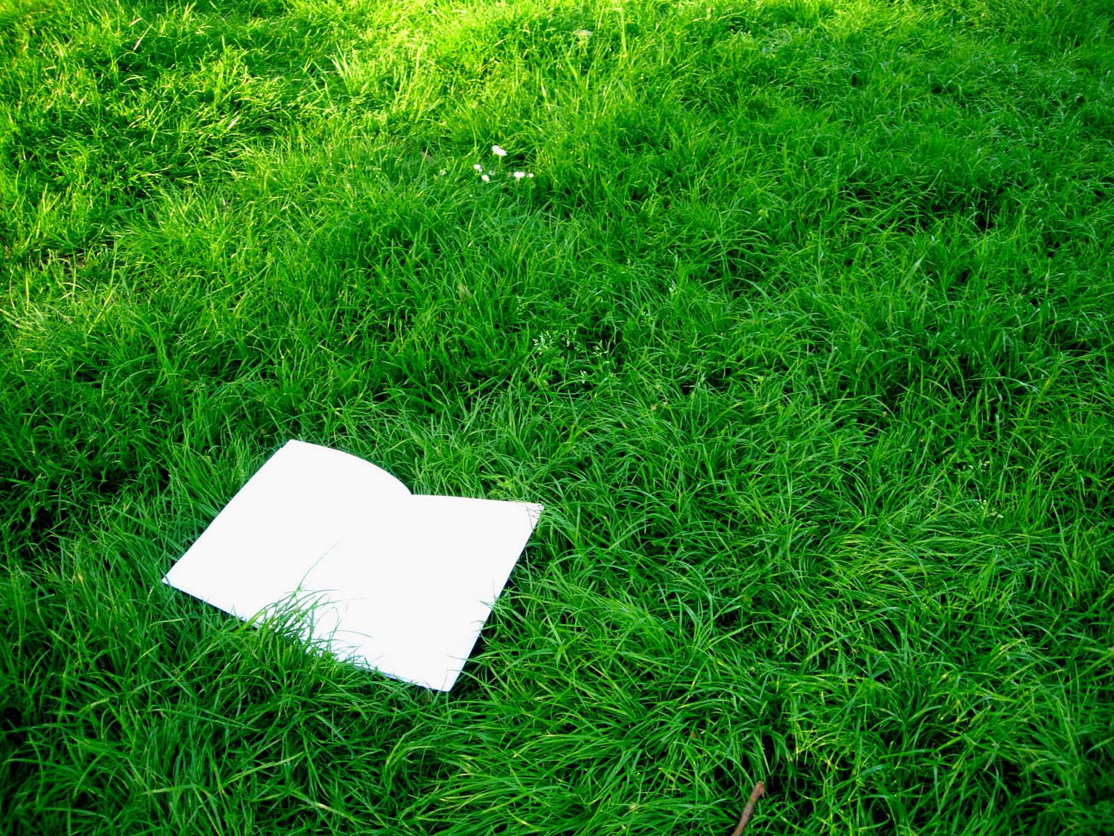 [grass_book.jpg]