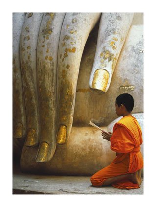 [The-Hand-of-Buddha-Print-C12124382.jpeg]