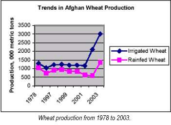 [wheat+production+afghanistan+78-2003.jpg]
