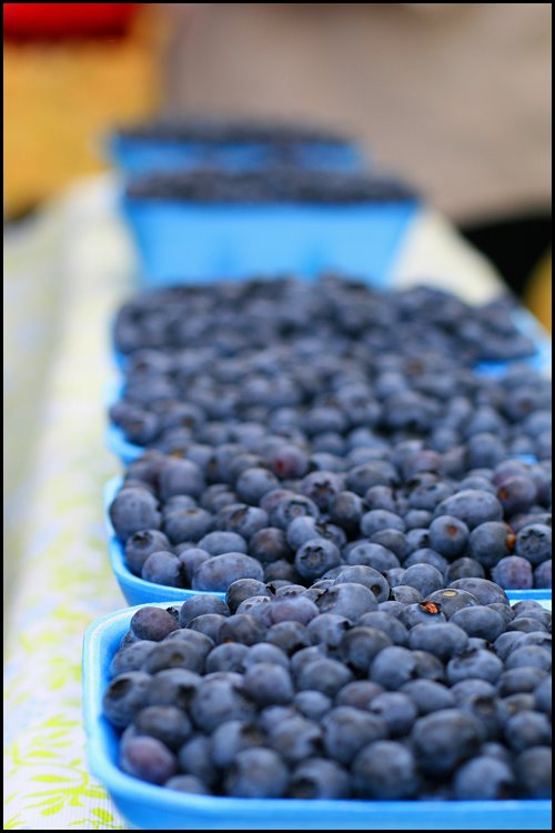 [kitsilano+market+blueberries+copy.jpg]