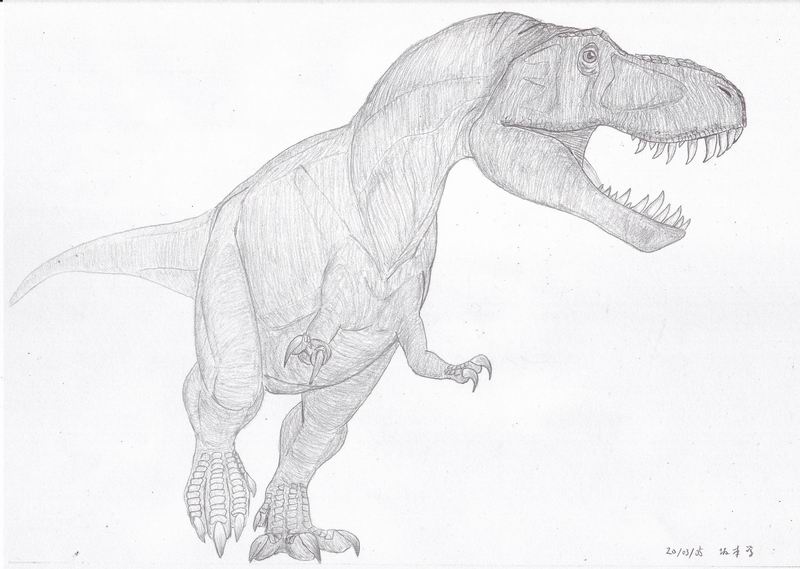 [tyrannosaurus02_800.jpg]