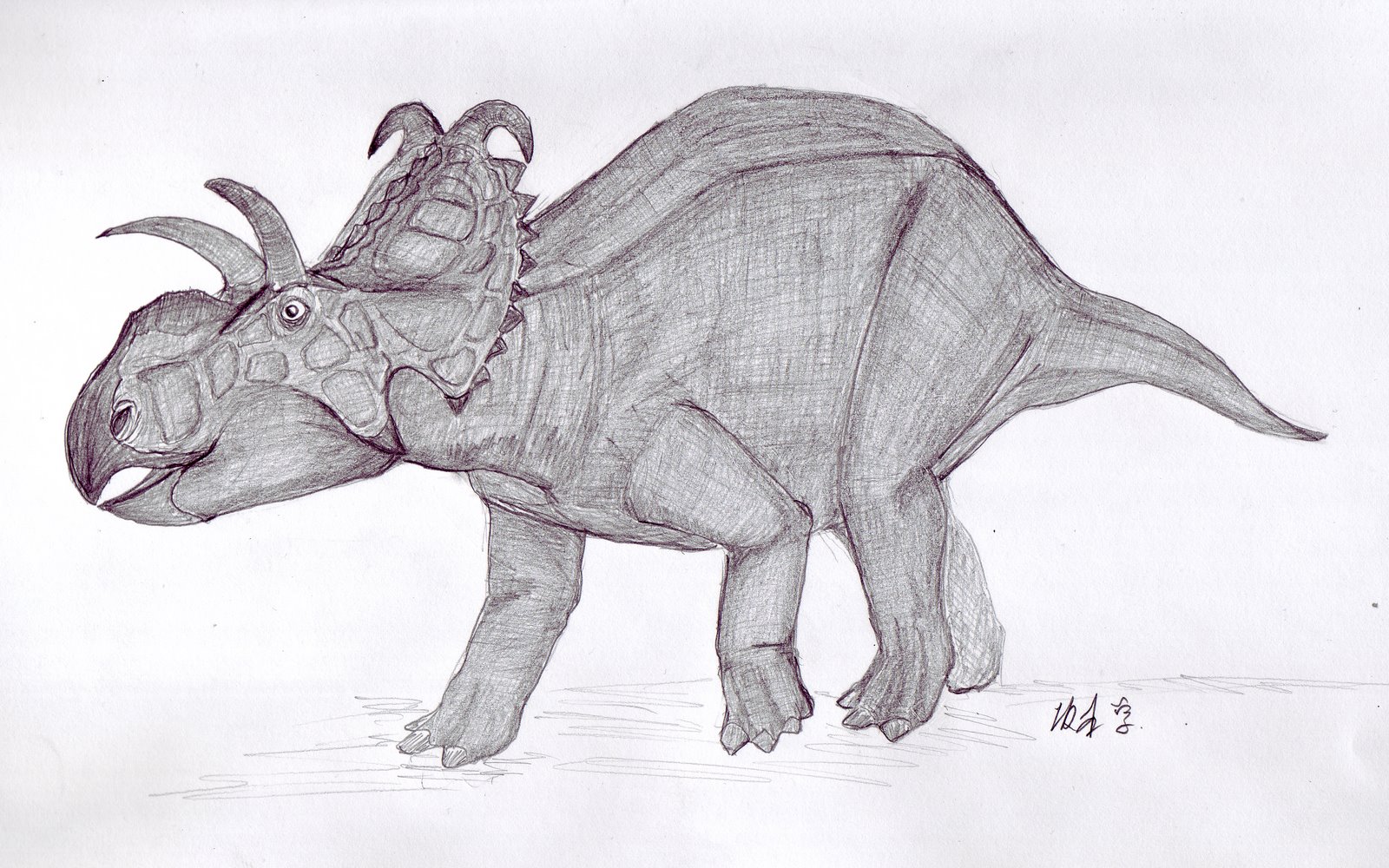 [Albertaceratops.jpg]