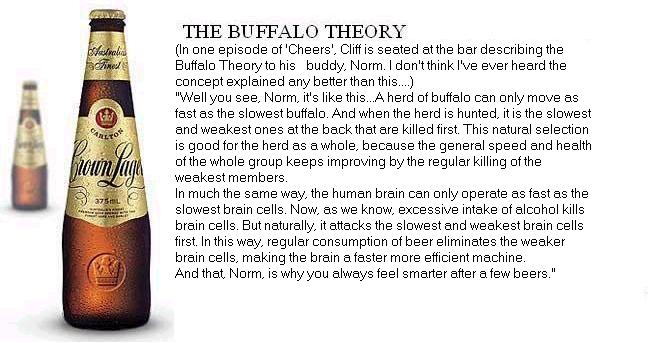 [Buffalo_Theory.jpg]
