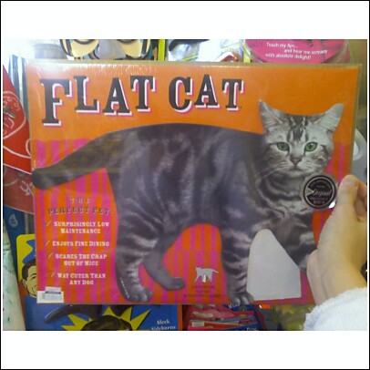 [CatButts_FlatCats.jpg]