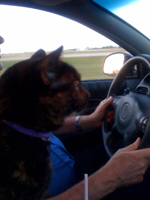 [Rosie+helping+dad+drive.jpg]
