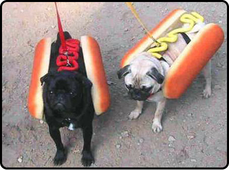 [hotdogs0210.jpg]